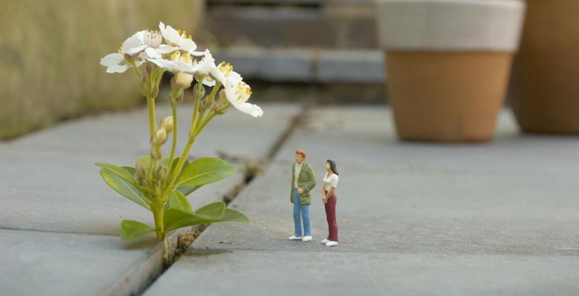 Sztuka w ogrodzie - rola ceramicznych figurek w kreowaniu przestrzeni