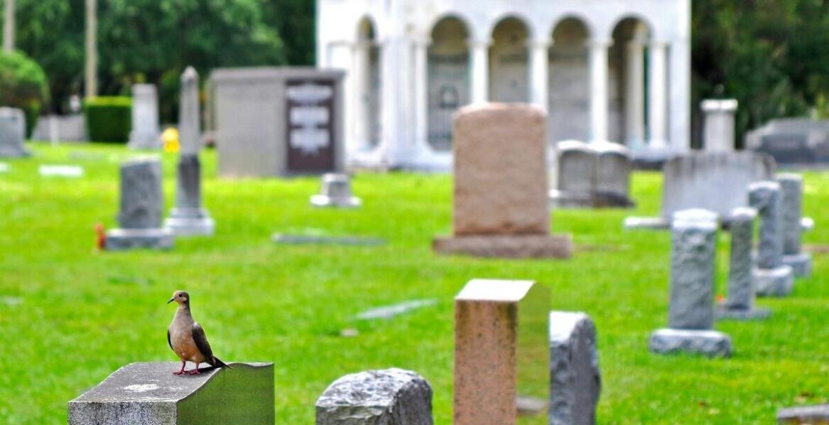 Jak przebiega współpraca z właścicielami podczas utylizacji ich zwierząt?