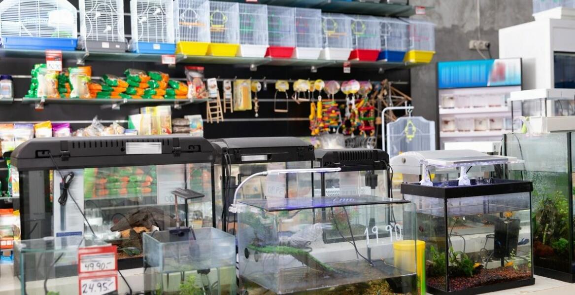 Jak zoologiczny sklep dba o zdrowie żywych zwierząt? Znaczenie weterynaryjnej kontroli