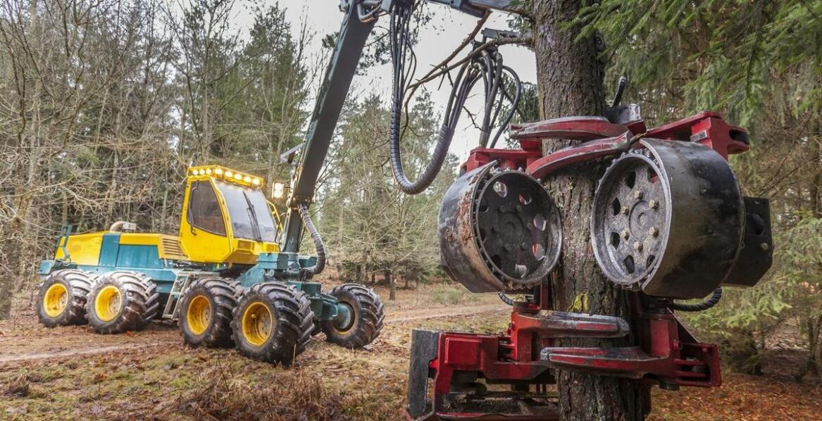Wpływ technologii na rozwój i funkcjonalność leśnych wciągarek