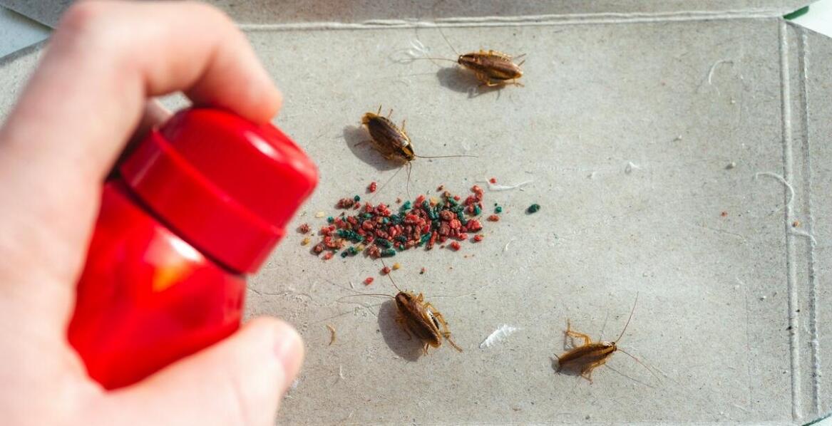 Jak działają produkty zabezpieczające przed owadami?