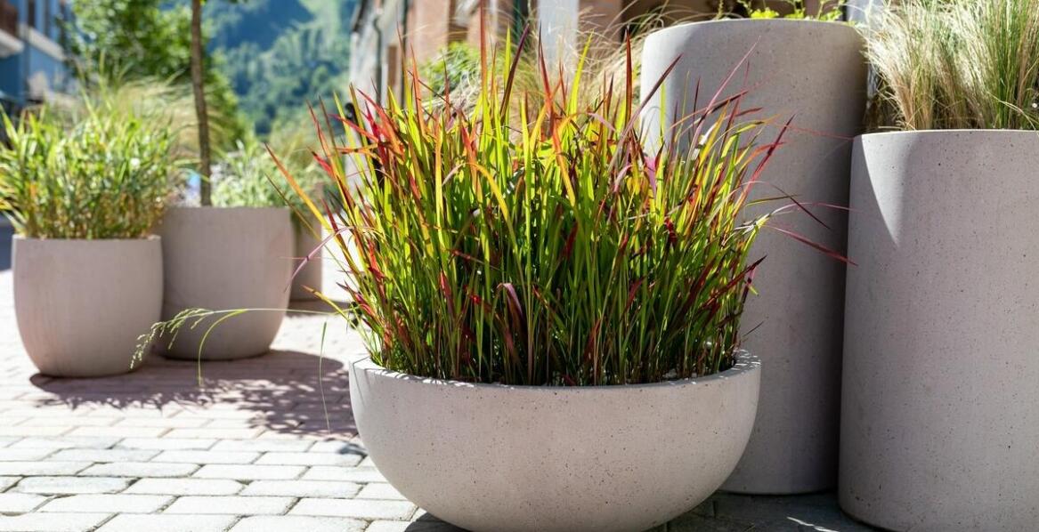 Dlaczego warto postawić na duże personalizowane donice ogrodowe?