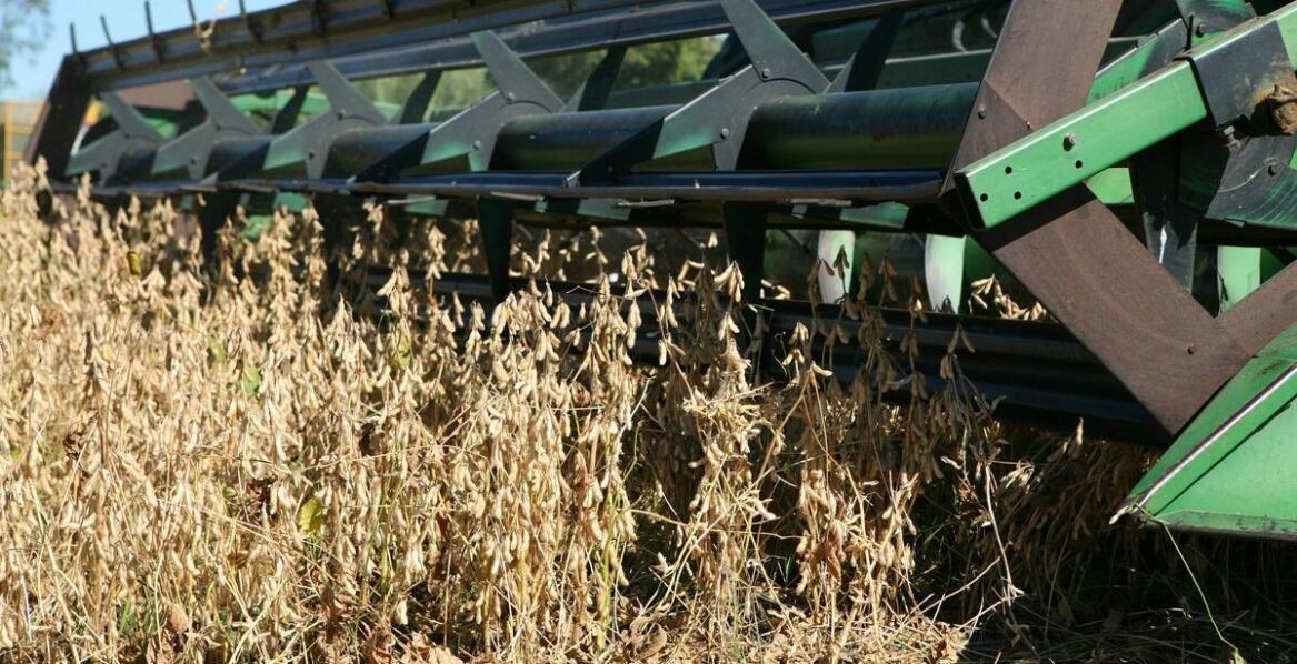 Jakie są kluczowe cechy sit dla kombajnów na wymiar?