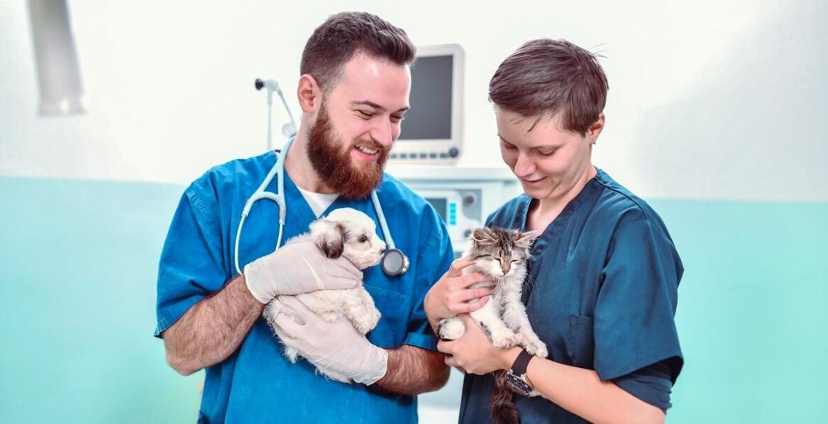 Jak profesjonalne podejście personelu pomaga w żałobie po stracie pupila?