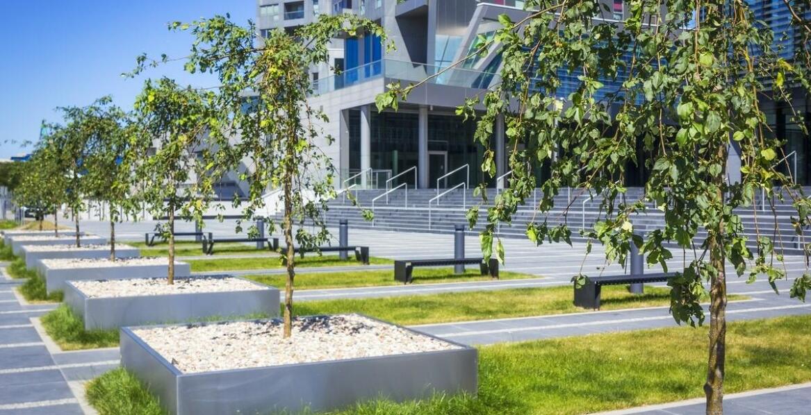 Zastosowanie drewnianych donic w przestrzeniach publicznych