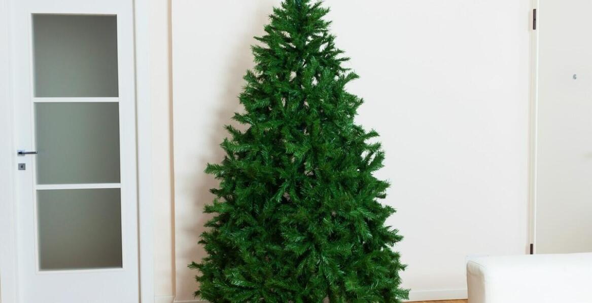 Jak choinka na długim pniu wpływa na estetykę we wnętrzu?