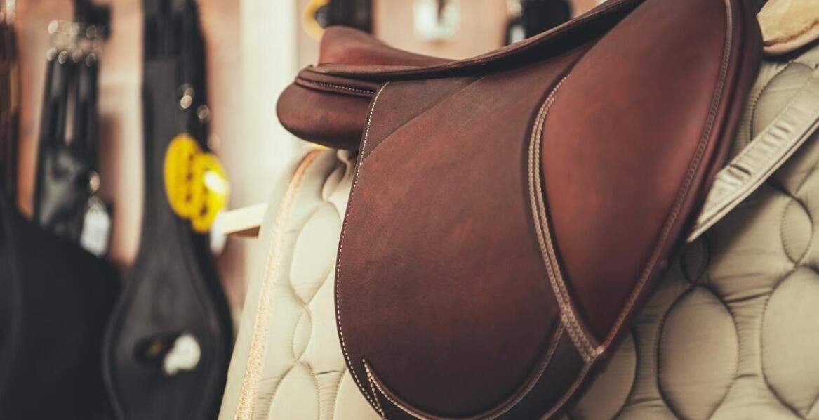 Wpływ promocji na wybór produktów jeździeckich przez klientów