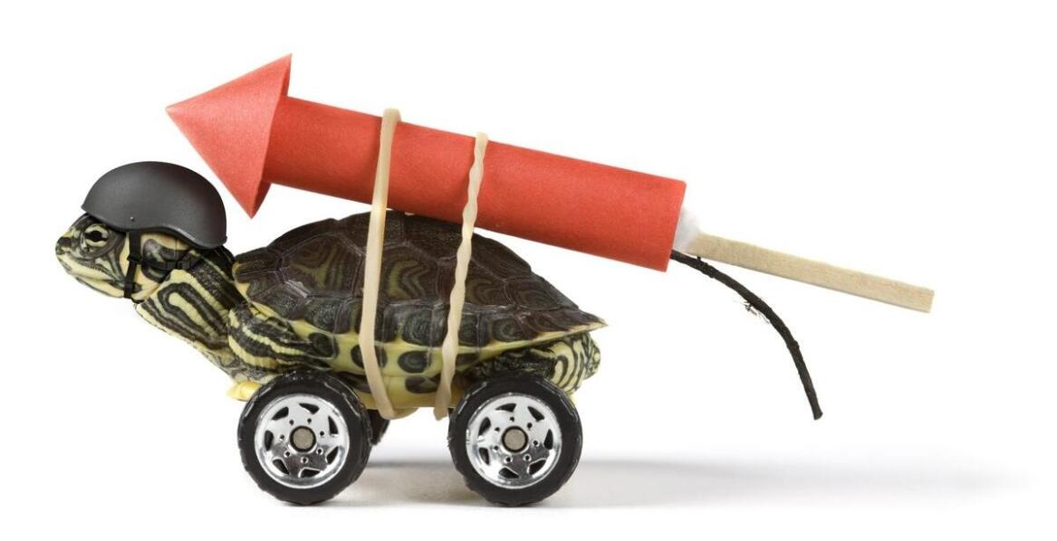 Jakie umiejętności rozwija żółwik Fisher Price u dzieci w wieku przedszkolnym?