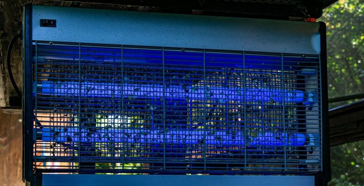 Porównanie skuteczności ultradźwiękowych i elektromagnetycznych odstraszaczy