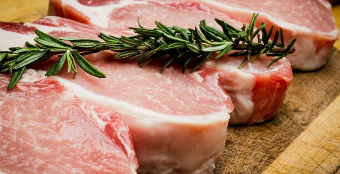 Surowa wieprzowina a zdrowe jelita u psów – co mówią eksperci?