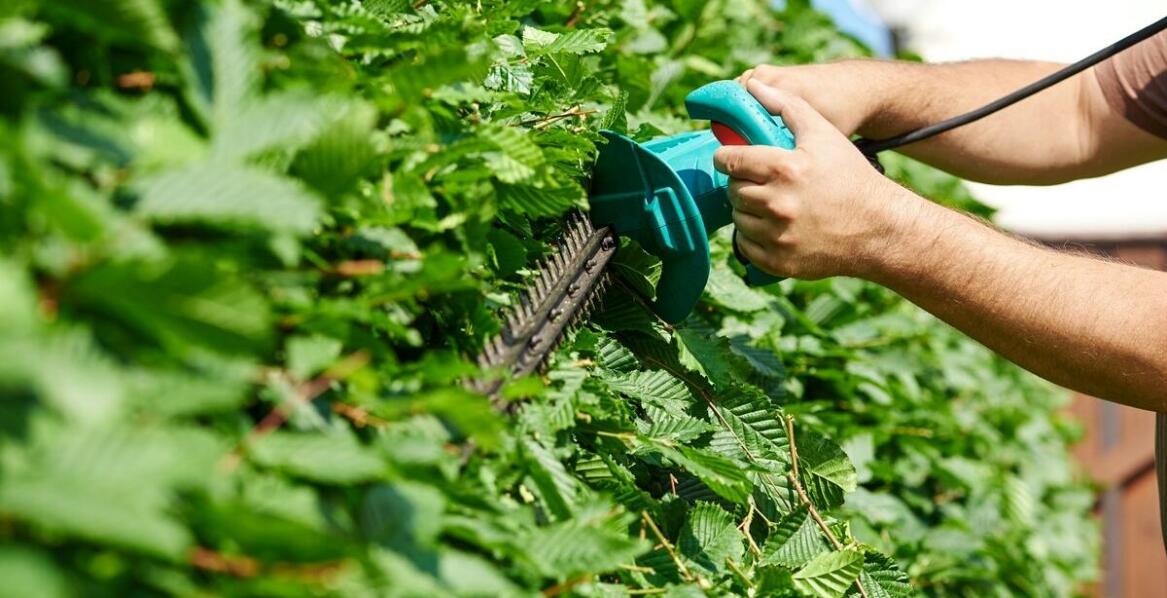 Zalety korzystania z Bosch Isio w pracach przydomowych