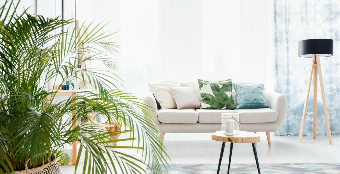 Jakie są najnowsze trendy w dekoracji wnętrz z użyciem koralowej palmy?