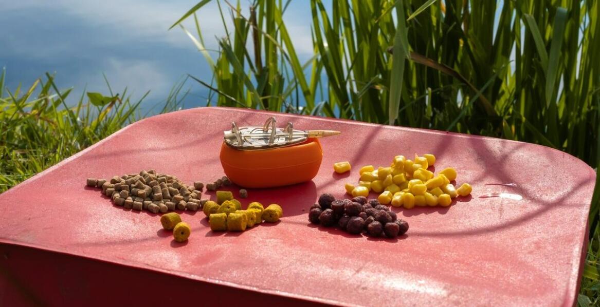 Bezglutenowe karmy dla psów – dlaczego warto je uwzględnić w diecie?