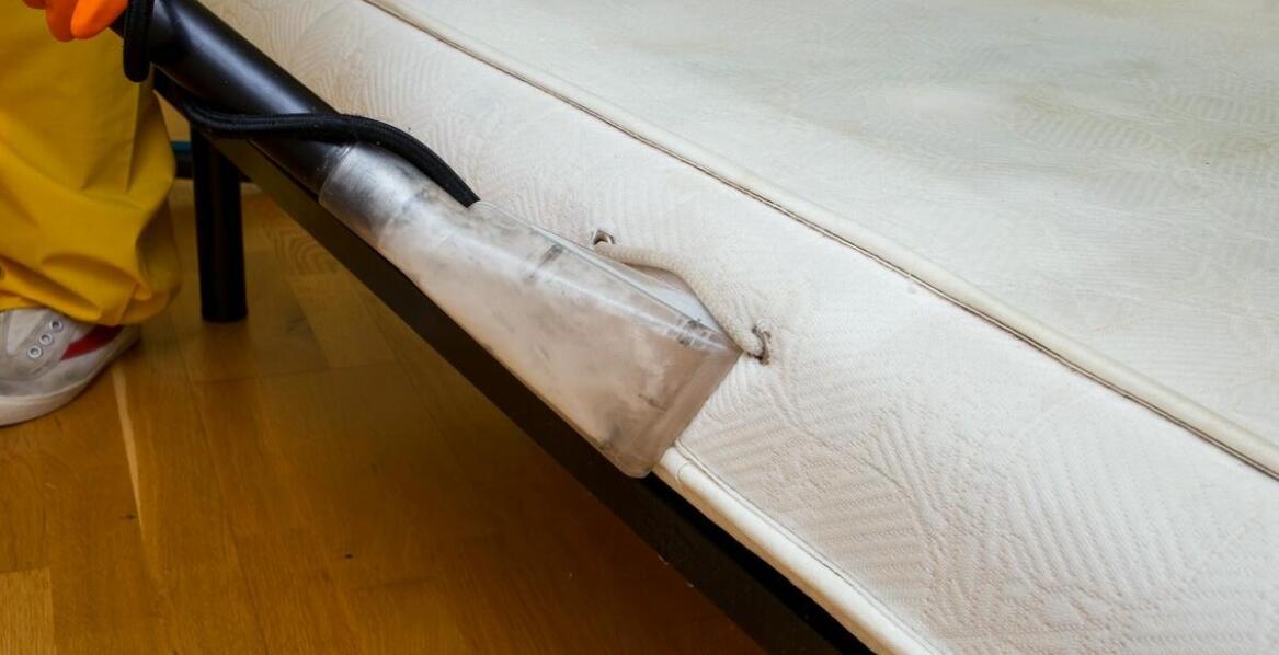 Jakie zalety ma kompleksowe podejście do zwalczania pluskiew w mieszkaniach?