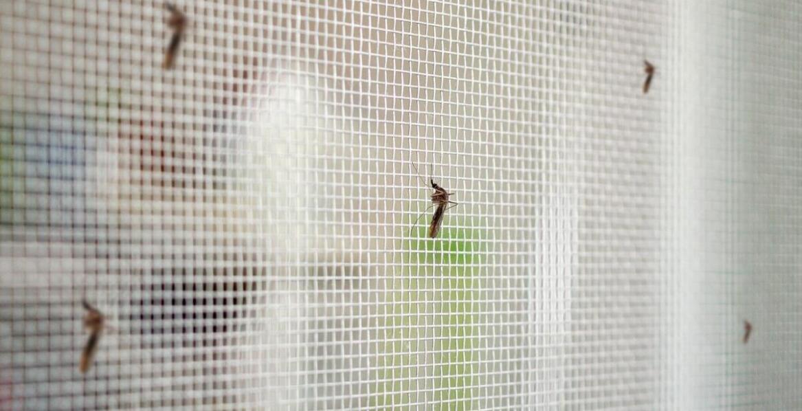 Moskitiery na miarę – jak dopasować je do indywidualnych potrzeb?