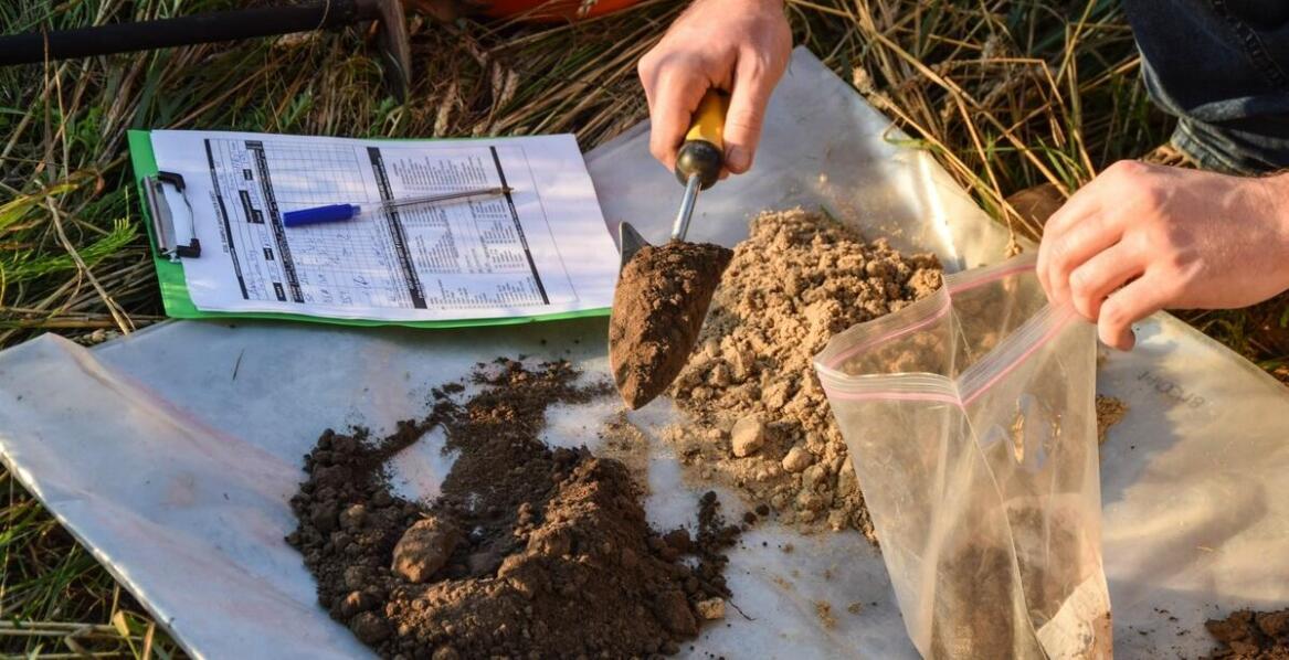 Jakie są wyzwania związane z oceną struktury gleby w raportach środowiskowych?