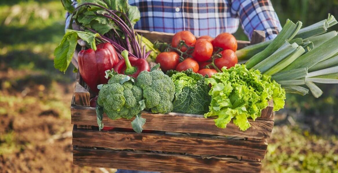Why Invest in a Partnership with a Renowned Vegetable Supplier?