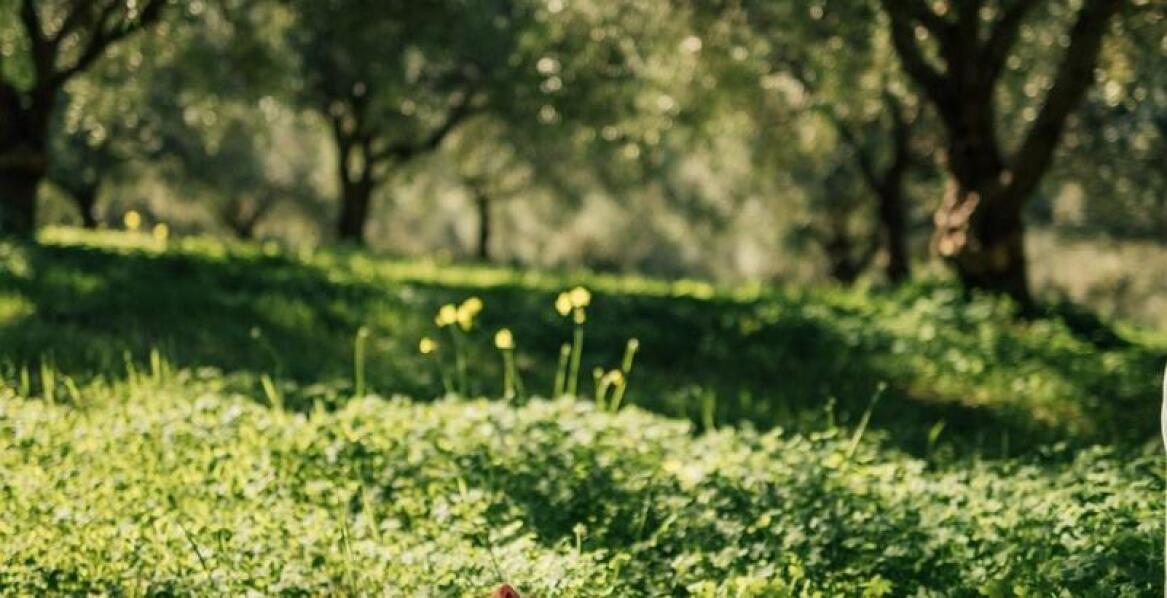 Znaczenie elementu Ziemi w regeneracji ciała – co warto wiedzieć?