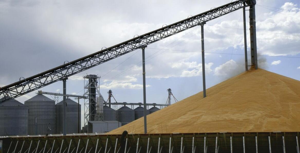 Die Vorteile von Investitionen in moderne Transportsysteme für Silos