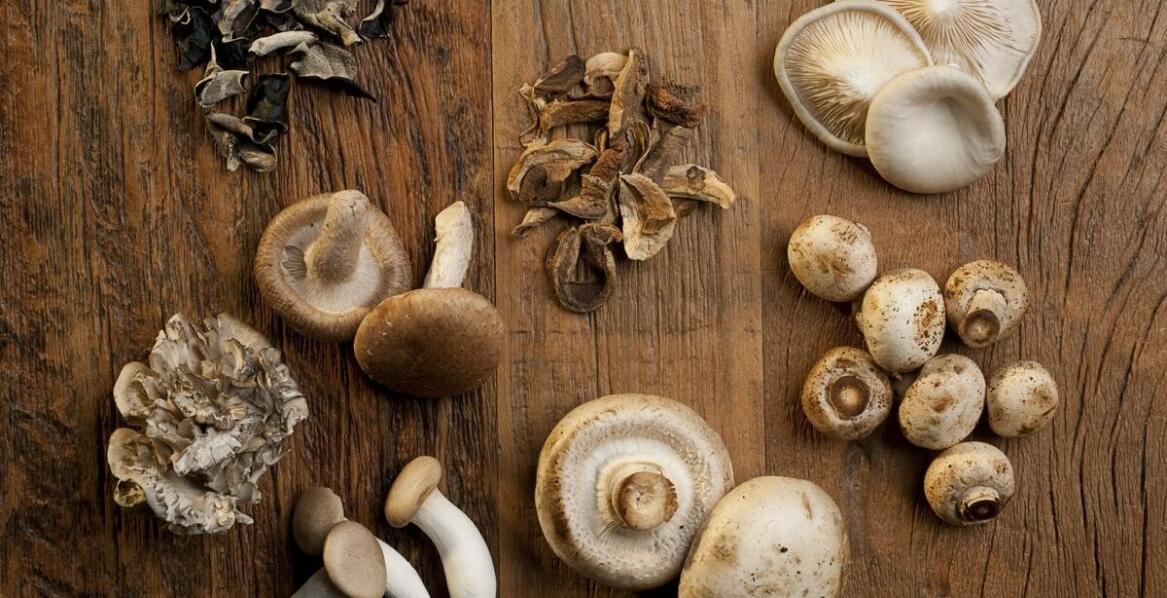 Why is product diversity key in mushroom wholesale sales?