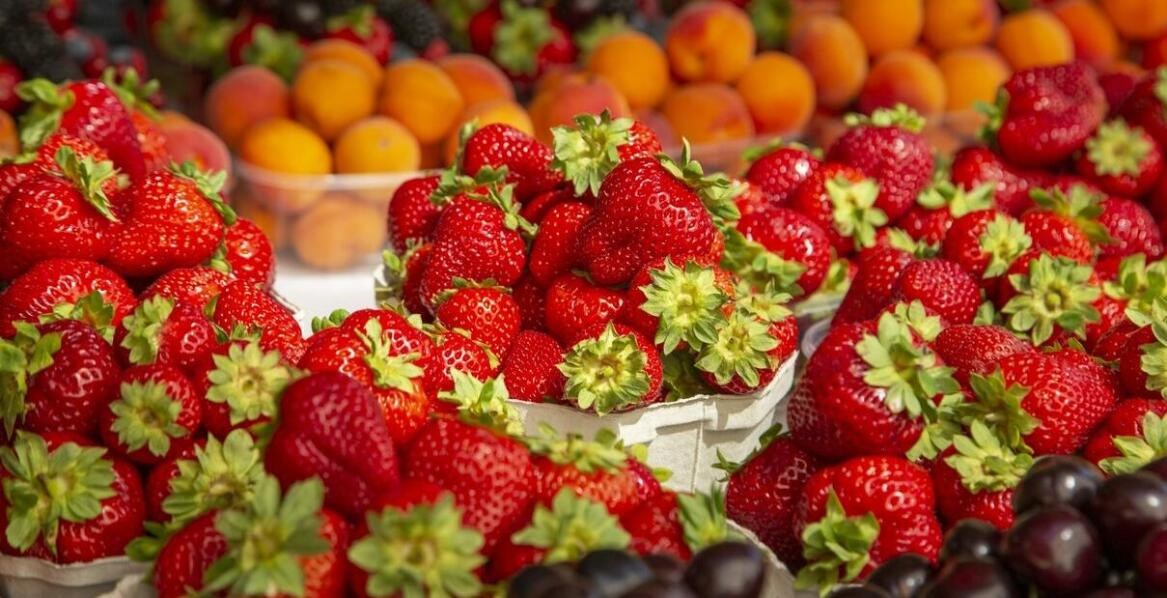 What are the advantages of a wide offer of fruits in wholesale trade?