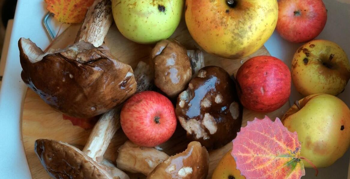 The role of local mushroom suppliers in building customer relationships