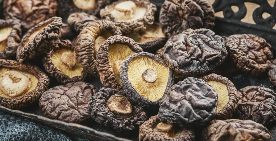 Wholesale mushroom supplier – the key to creativity in professional kitchens