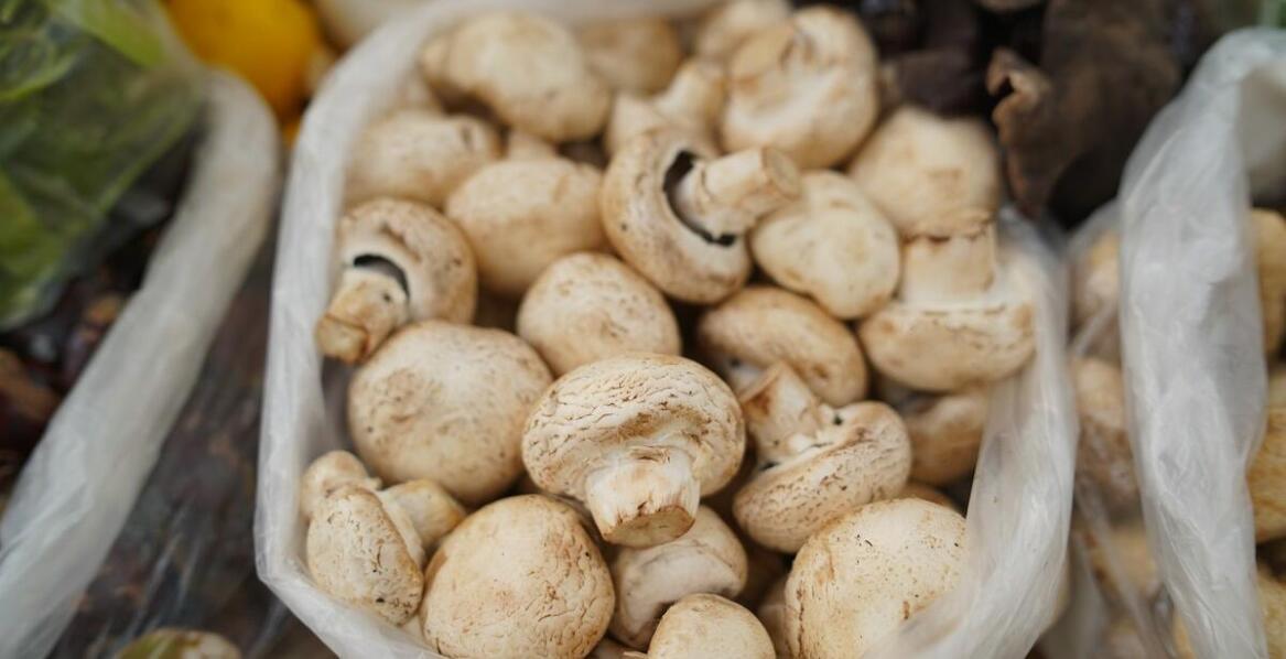 The importance of flexible mushroom suppliers for success in the food sector