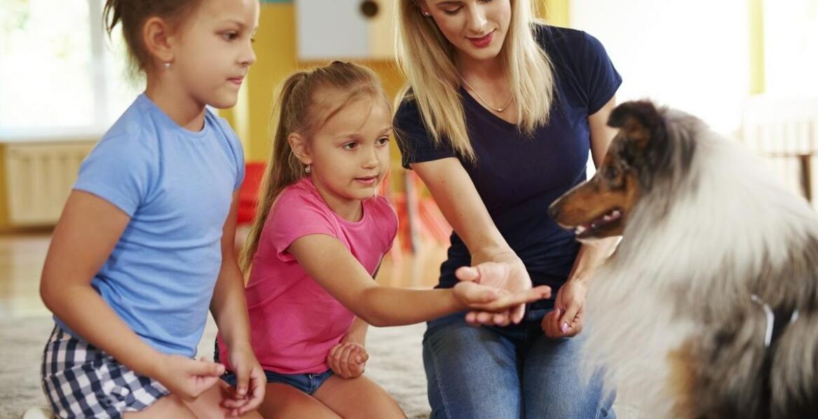 Dogoterapia w przedszkolu integracyjnym — co zmienia w emocjach i kontaktach dzieci